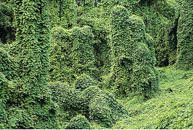 《Rising Up》免费发布 横版像素风解压系动作新游