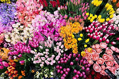 《牧场物语 来吧!风之繁华集市》公开首支介绍影片 ns2版预约正式开始!